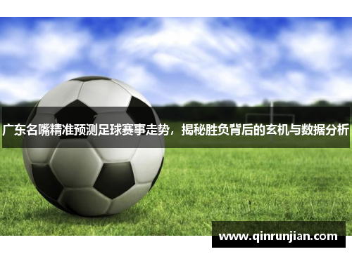 广东名嘴精准预测足球赛事走势，揭秘胜负背后的玄机与数据分析